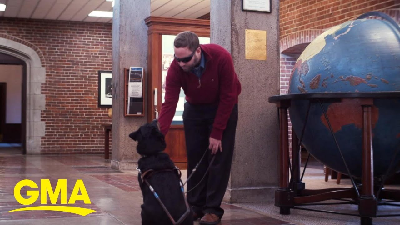 Organization helps the blind by providing guide dogs