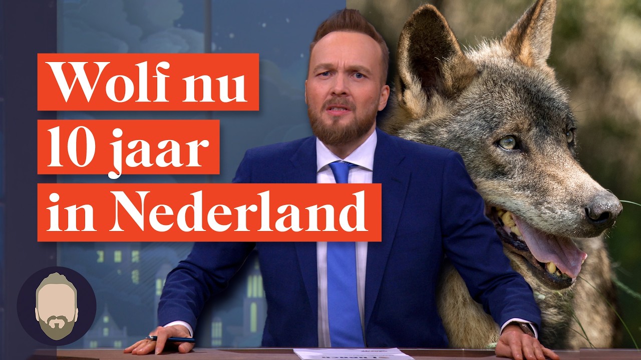 Wat werkt WEL tegen de wolf? | LUBACH