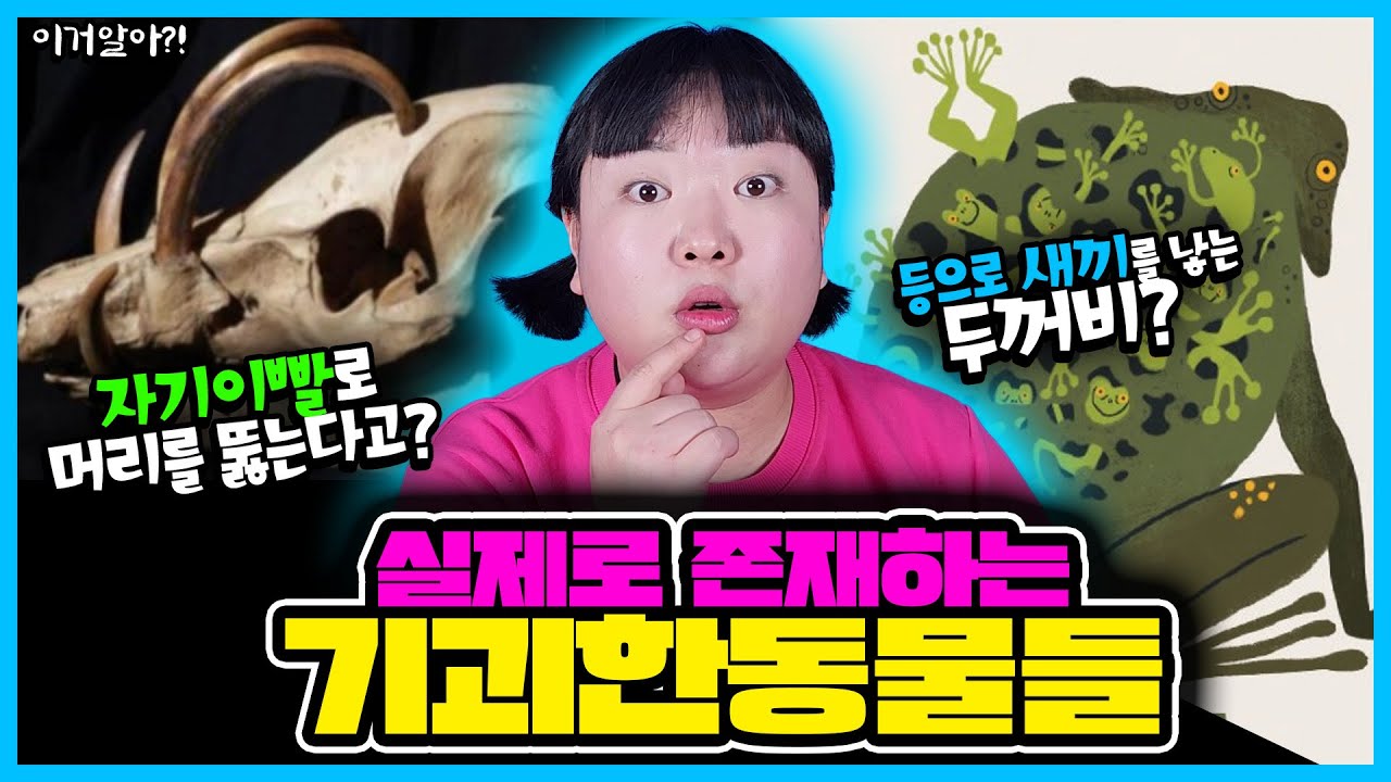 [이거알아?!-기괴한동물] (놀람주의) 실제로 존재하는 기괴한 동물들😱!! 세상에 이런 동물이?