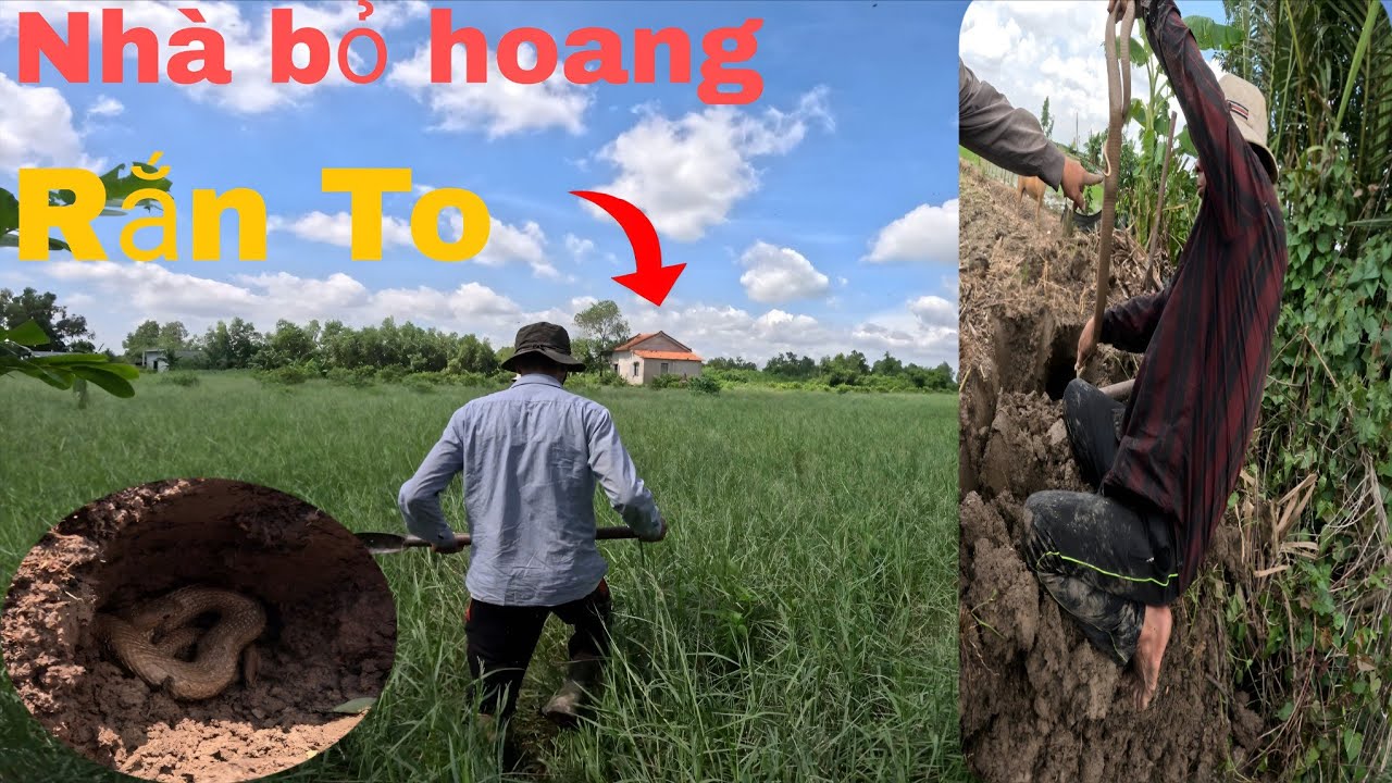 Tìm Con Rắn Lớn Khu Nhà Hoang|| Tâm Vện Vlog#18