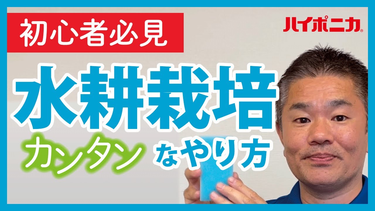 【初心者向け】水耕栽培のカンタンなやり方【ハイポニカ】