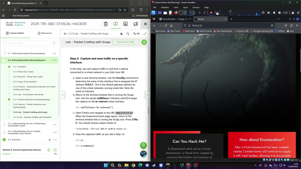 3.2.9 Lab - Packet Crafting with Scapy