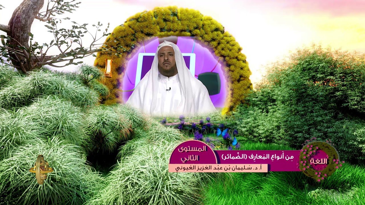 من أنواع المعارف الضمائر ـ من محاضرات اللغة العربية ـ المستوى الثاني ـ 2