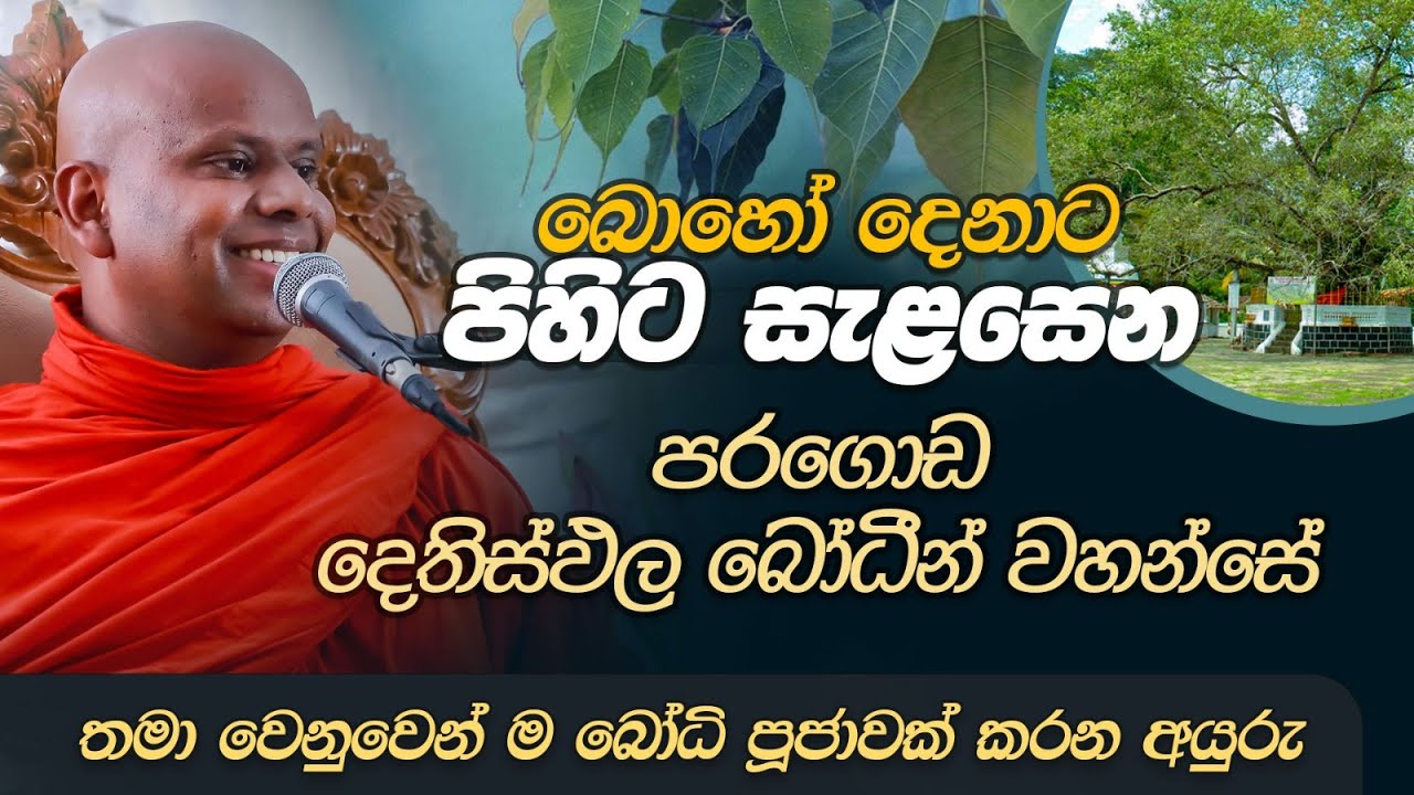 බොහෝ දෙනාට පිහිට සැළසෙන පරගොඩ දෙතිස්ඵල බෝධීන් වහන්සේ | Venerable Welimada Saddaseela Thero