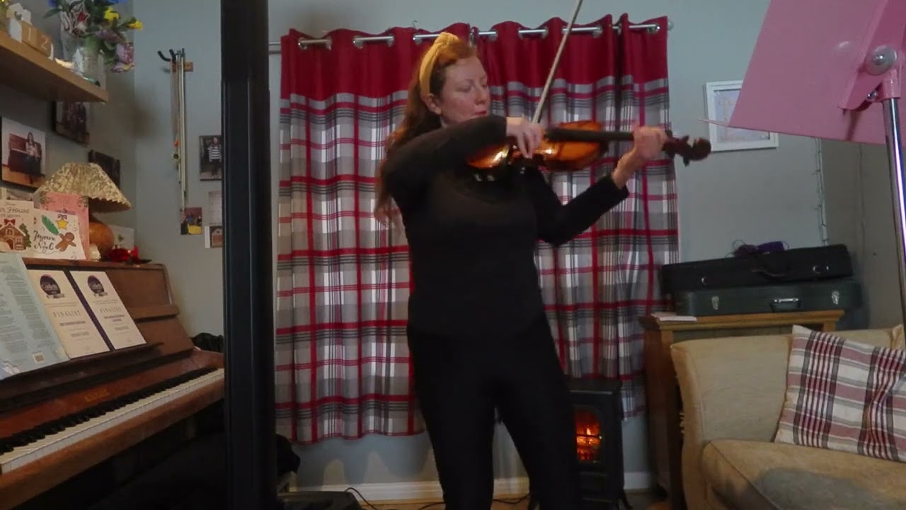 TAYLOR SWIFT ~ You Belong With Me (violin cover)