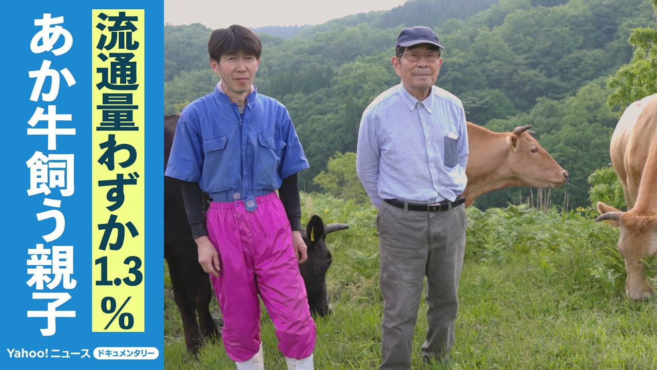 【本編】「誰かに引き継がないと」千年続く阿蘇の草原を循環型畜産で守る牛飼い親子の奮闘