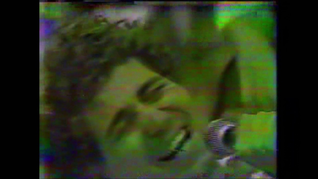 TARANATIRIÇA no Chacrinha - 1987