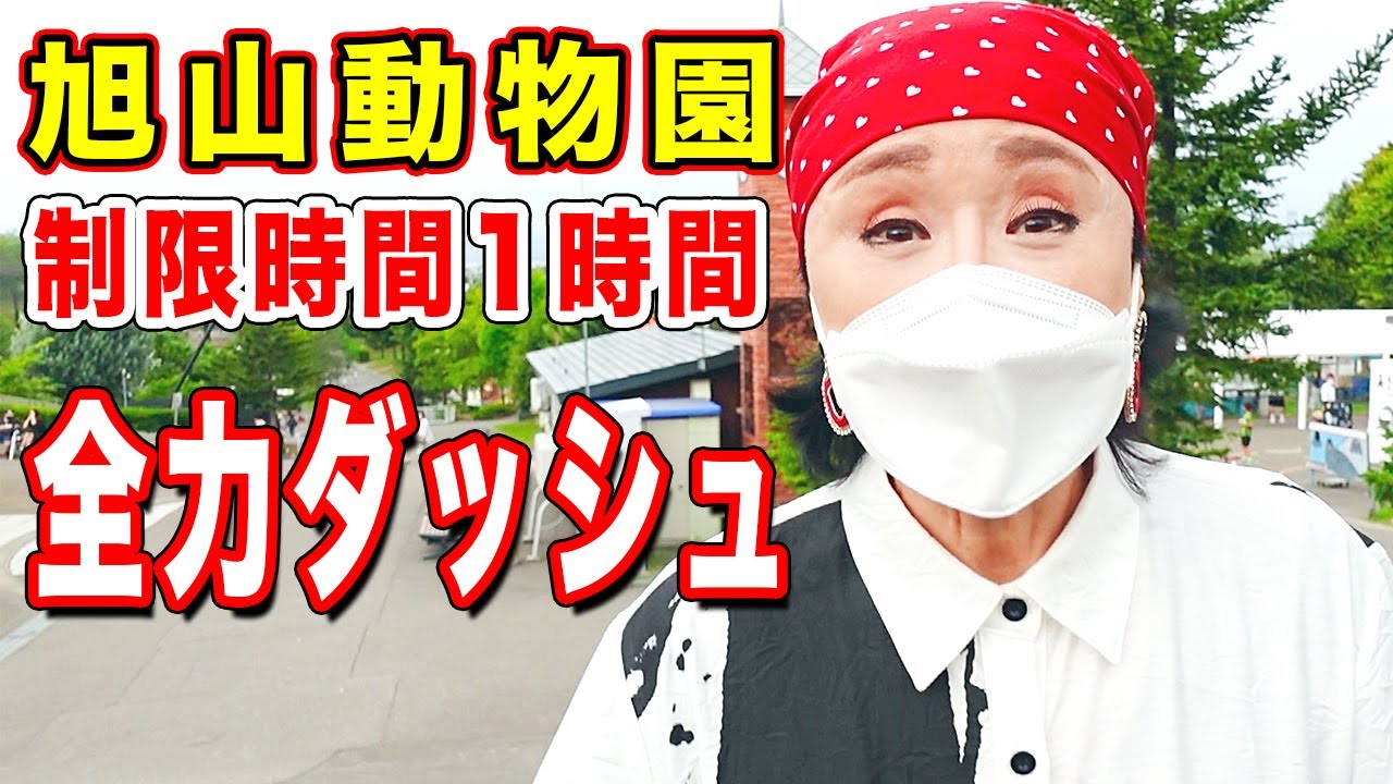 【チャレンジ】1時間で何種類の動物が見られるか！？