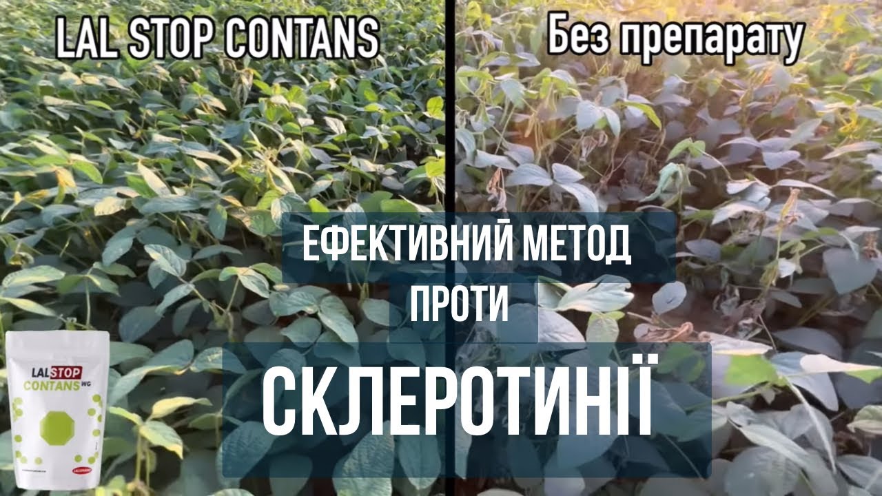 Біофунгіцид, який реально спрацював: виробник підрахував +1500 кг