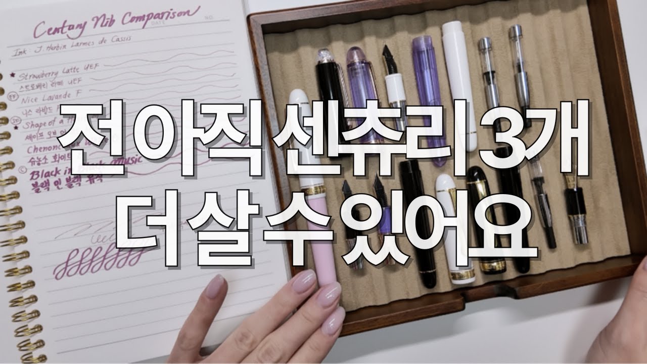 #185 [Eng sub] 센츄리 닙추천, 실사용 리뷰 Platinum Century Nib Recommendation and In-Use Review