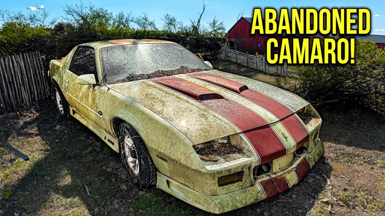 Первая мойка за 20 лет: брошенный Camaro RS! | Детейлинг и реставрация автомобилей