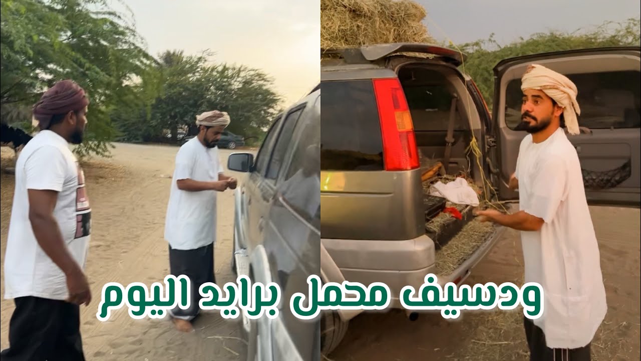 بوراشد سوا فتنه بين بوسيف المبجل😂😂