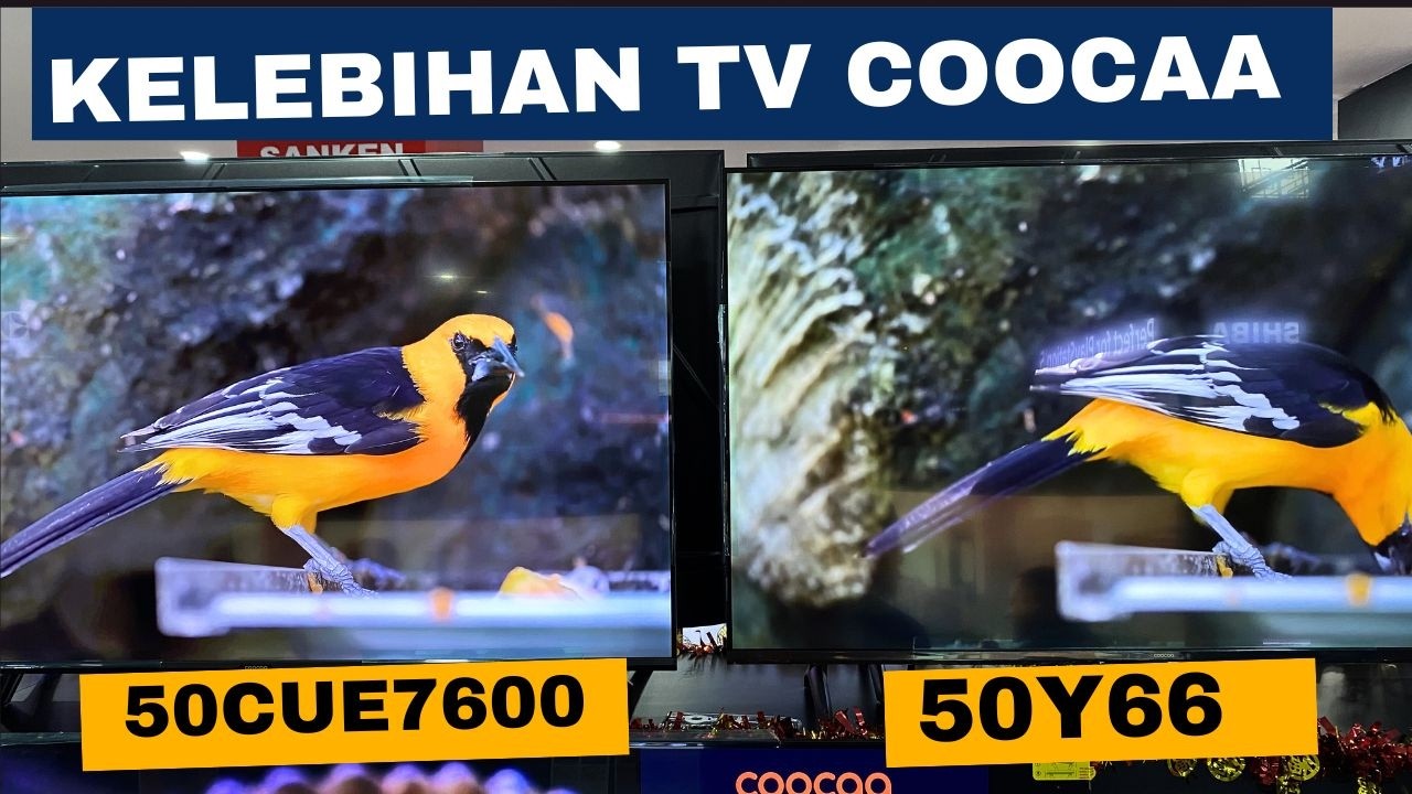 Coocaa 50Y66 vs 50CUE7600: Mana yang Paling Worth It?