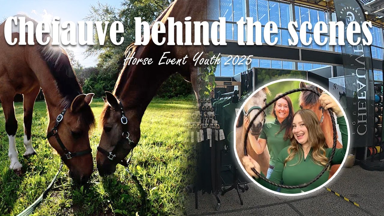 Horse Event in @Feline Fauve 's stand! CHEFAUVE behind the scenes