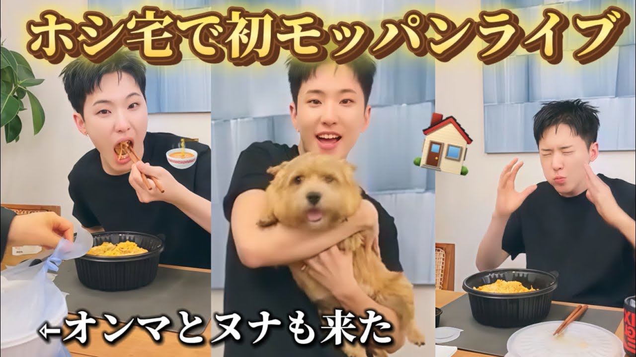 💎セブチ/SEVENTEEN💎🏠ホシの自宅でモッパンライブ🍜ホシウジ活動お疲れ様でした🍚🐯💗日本語字幕🇯🇵
