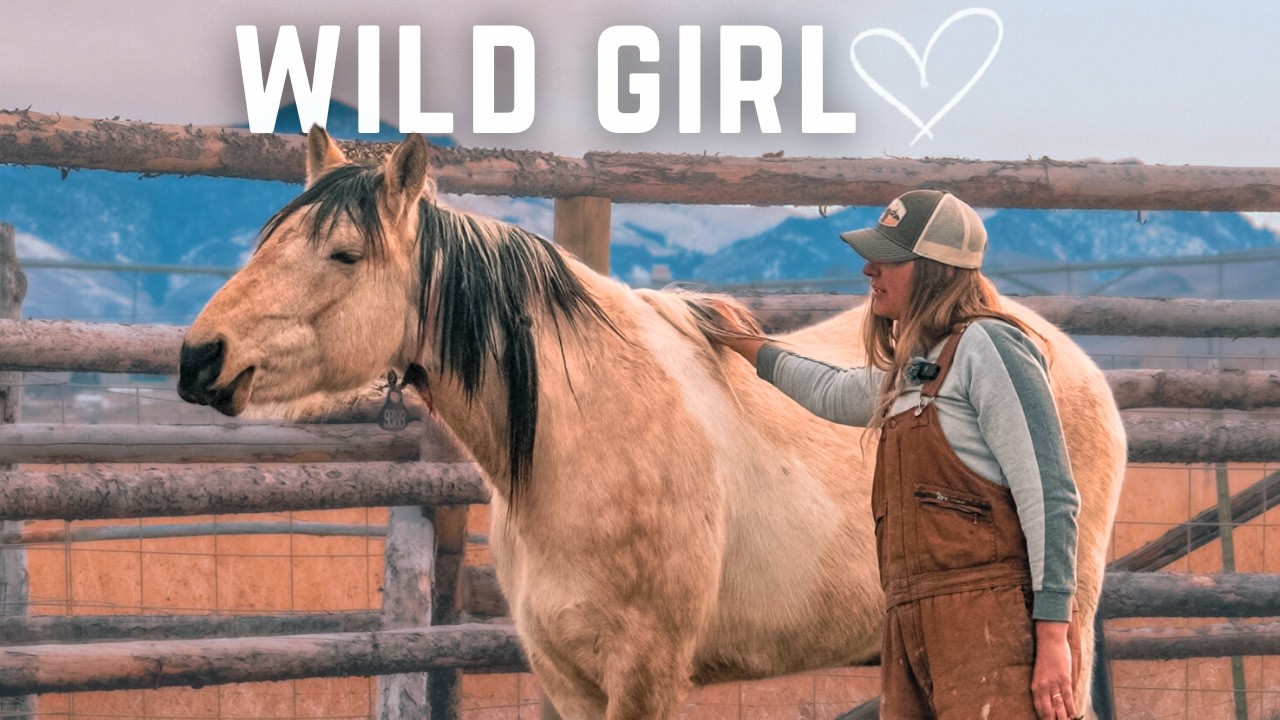 Watch A Wild Horse Go From Terrified To Trusting In 2 Days