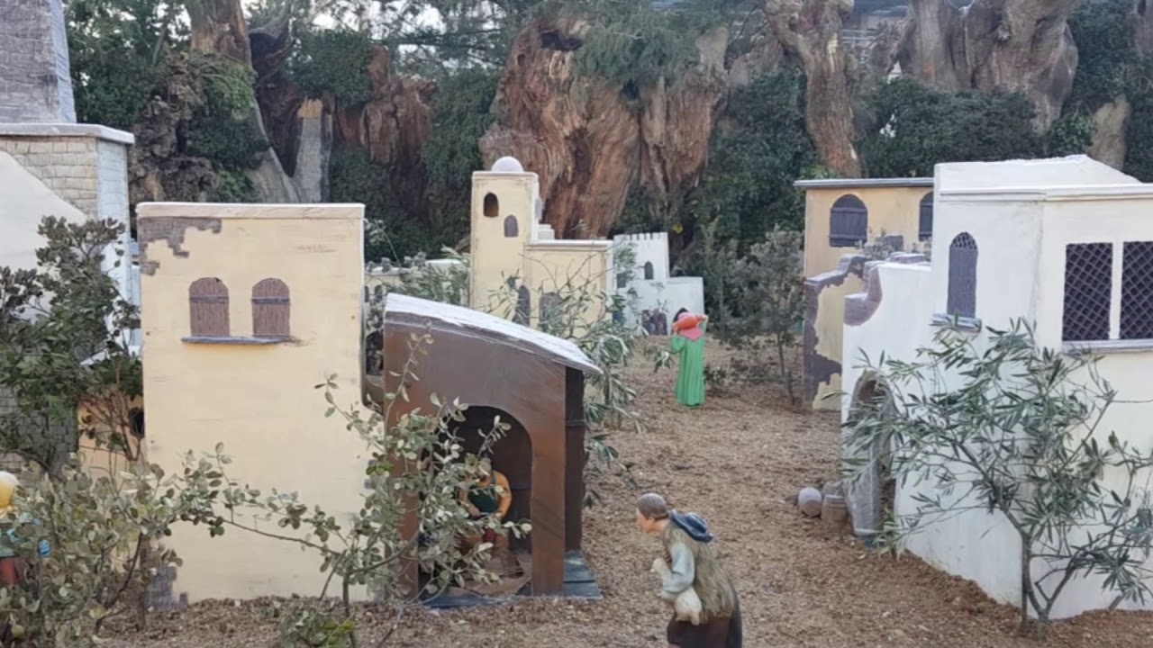 la plus grande cr&egrave;che du Portugal 2019 Sabugal