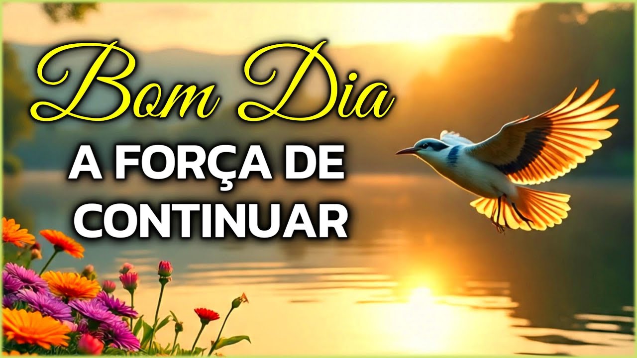 Mensagem de Bom Dia e Reflex&atilde;o | A For&ccedil;a de Continuar