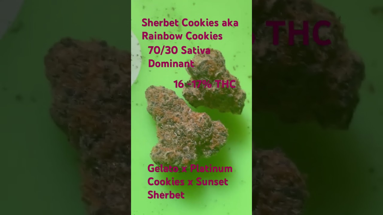 Sherbet Cookies, a.k.a. Rainbow  Cookies #strainreviews #420 #cannabiseducation