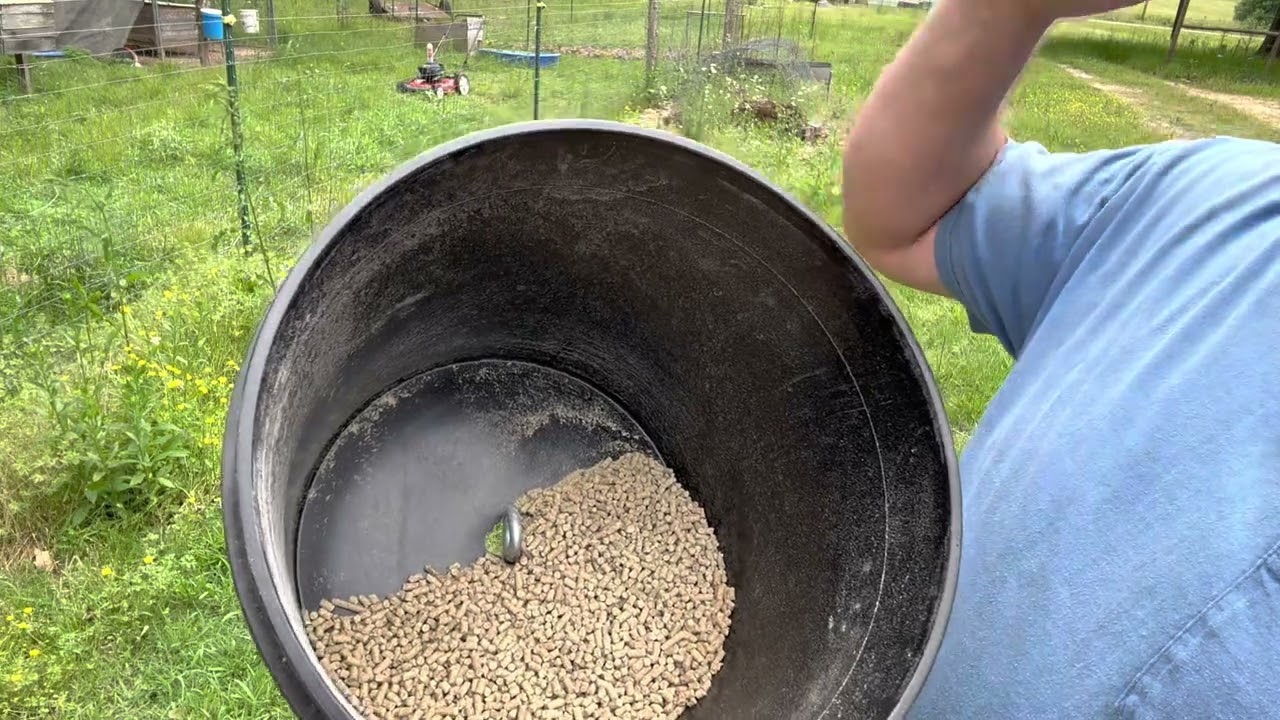 DIY Making a mouse proof chicken feeder I hope.
