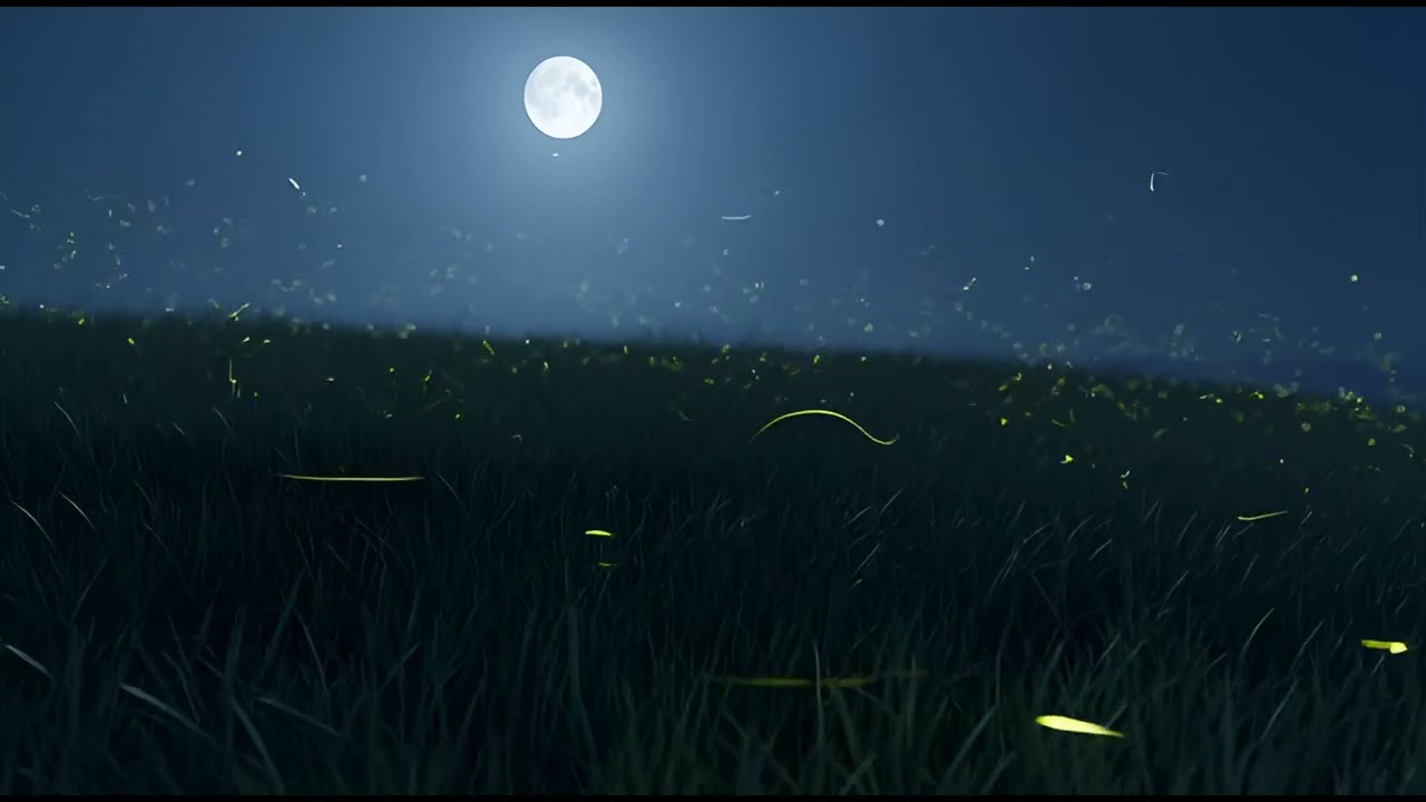 1Hour Relaxed Nature Video#18 | Fireflies in a Moonlit Meadow  | 4K Deep Inhale Energy from Universe