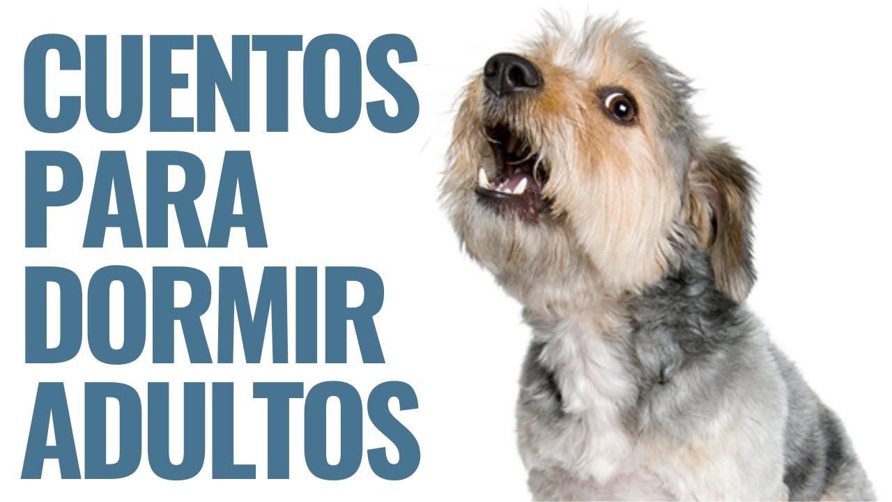 6. 🐕 El perro que no podía ladrar 🐶 CUENTOS PARA DORMIR PARA ADULTOS