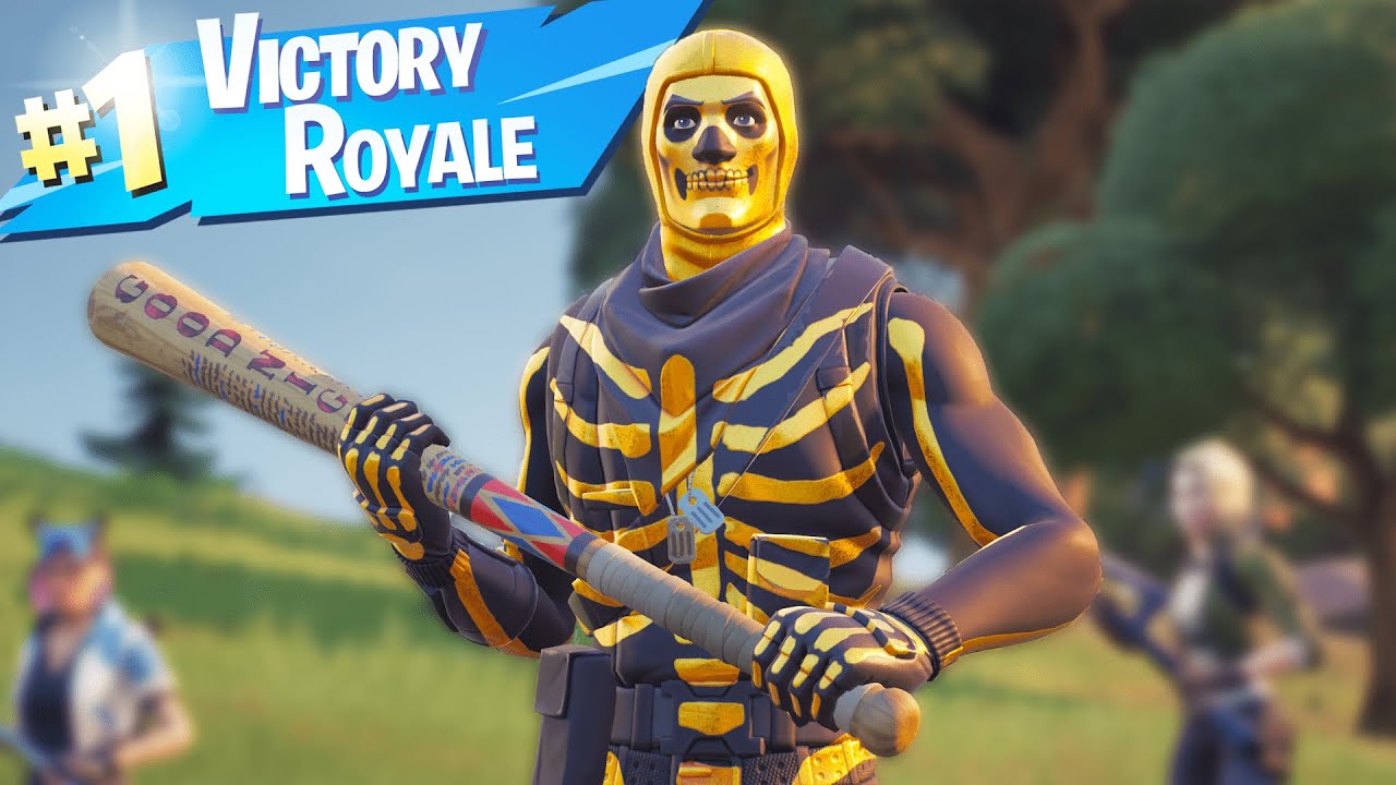 HARLEY HITTER PICKAXE GAMEPLAY / 10 Kills Solo Win + HANDCAM (Fortnite Season 8 No Commentary)