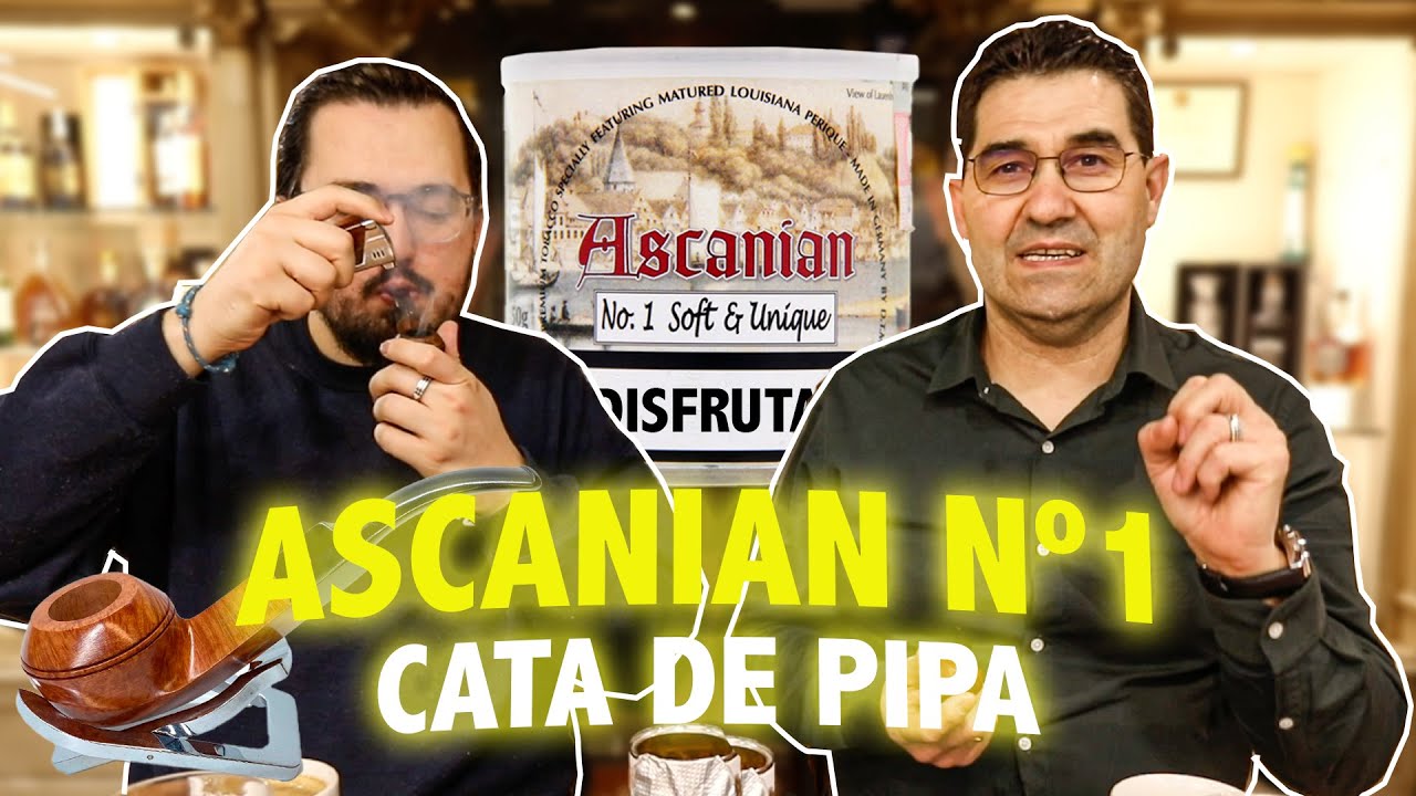 🔥Cata PIPA ASCANIAN Nº1| Soft & Unique | Cigar Specialist