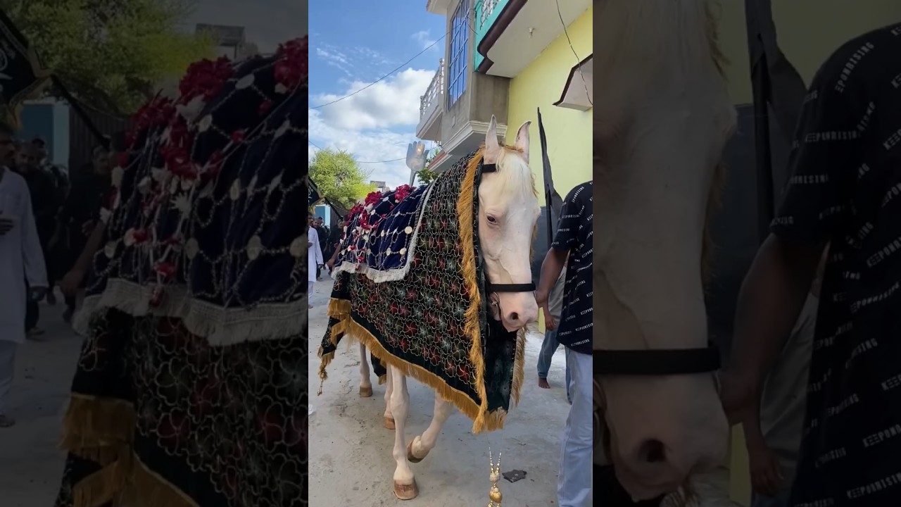 Ya Hussainع #imamhussain #molahussain #yahussain #youtube #youtubeshorts #muharram #islam #ytshorts