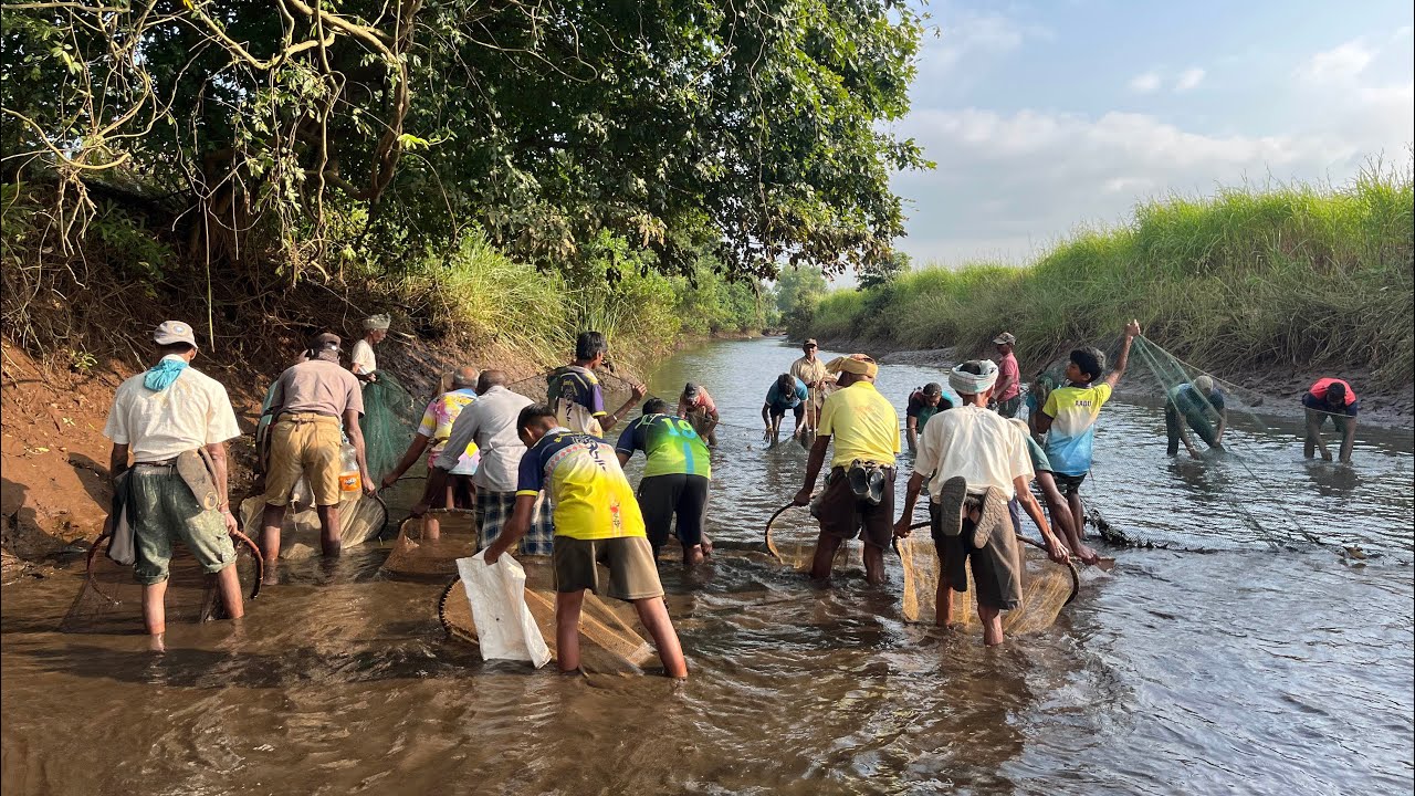 सर्व लोक उतरले मच्छी पकडायला नदीत, भेटला मोठा खडस मासा fishing in kokan #viralvideo#villagelife#vlog