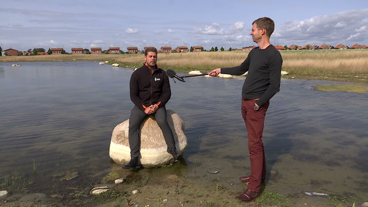 Nya våtmarker ger ett friskare Öresund