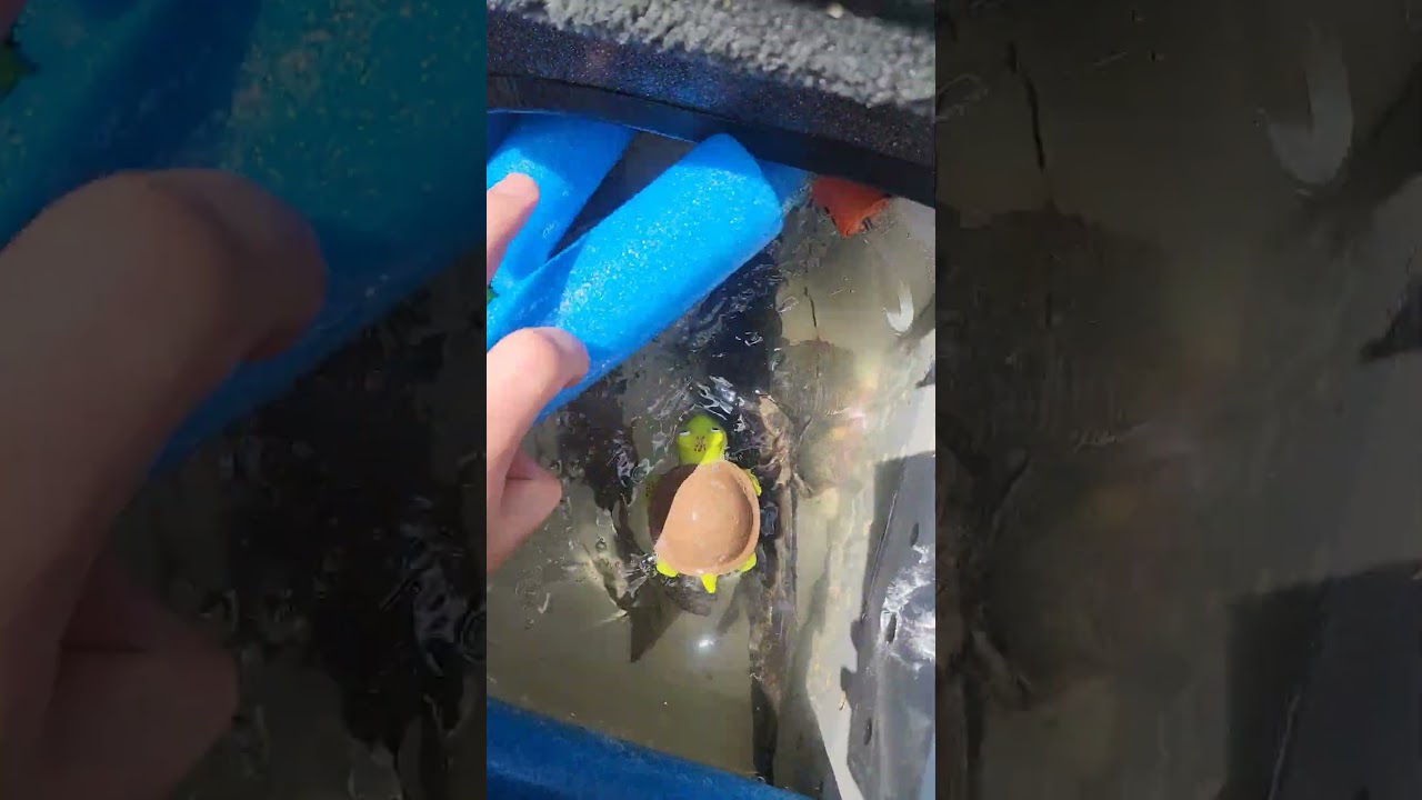 Pretty good day too start the season!  #fishing #bassfishing #thmarine  #quantumfishing