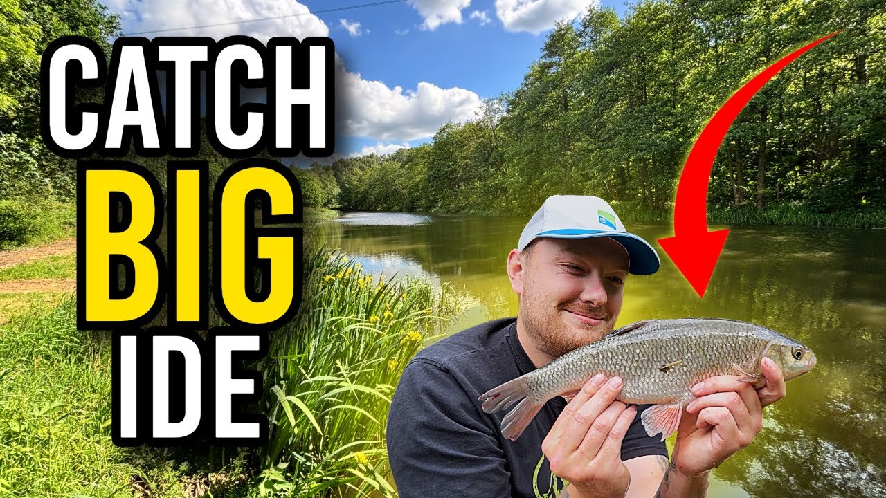 Catch BIG Ide On Burcliffe At Ravenfield Ponds !!!
