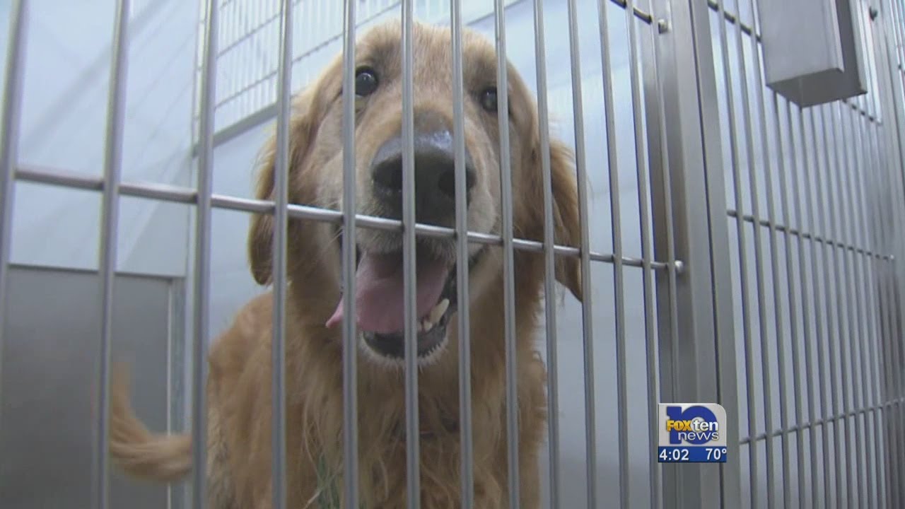 49 dogs euthanized at Mobile County Animal Shelter