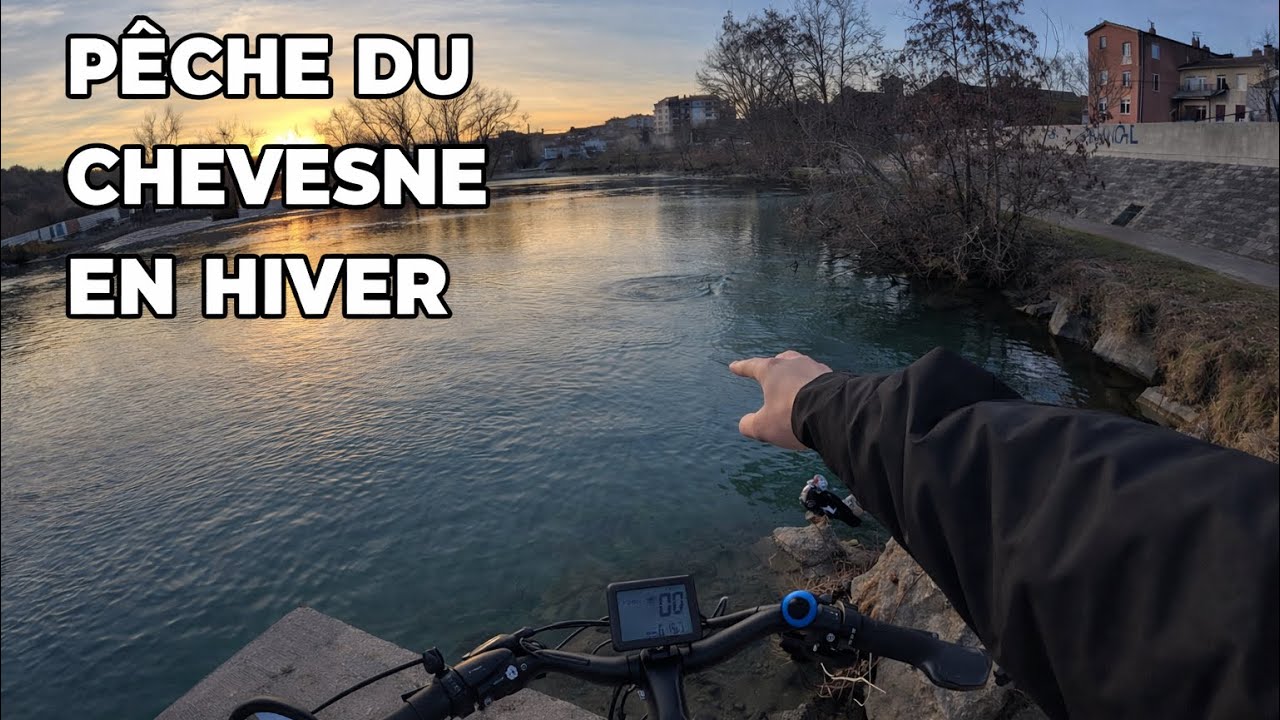 Pêche au pain pour de beaux chevesnes !