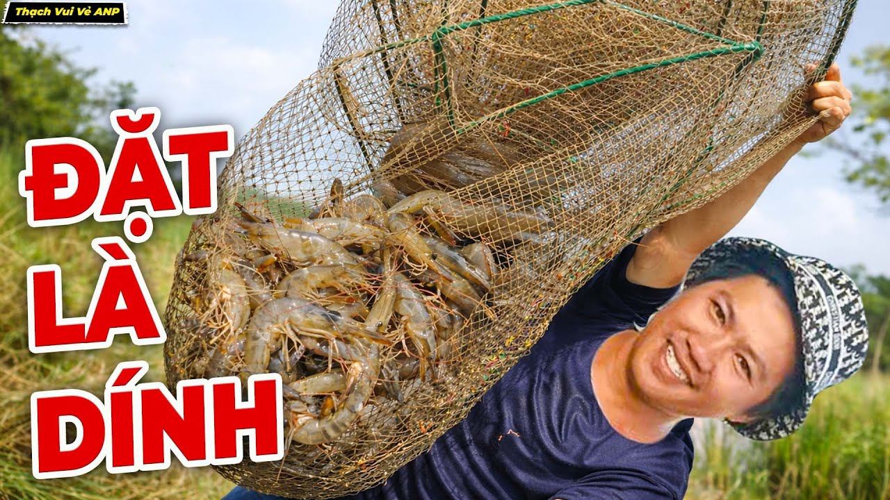 Hai Cha Con Đi Đặt Tôm Kiếm Tiền Ăn Tết Ta - Thạch Vui Vẻ ANP