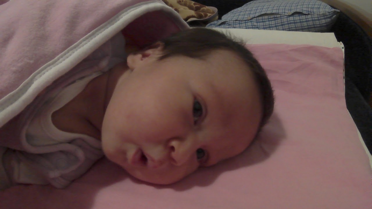 BEBA I STUCANJE (STUCAVICA) /4K\ @BebaPlace #video