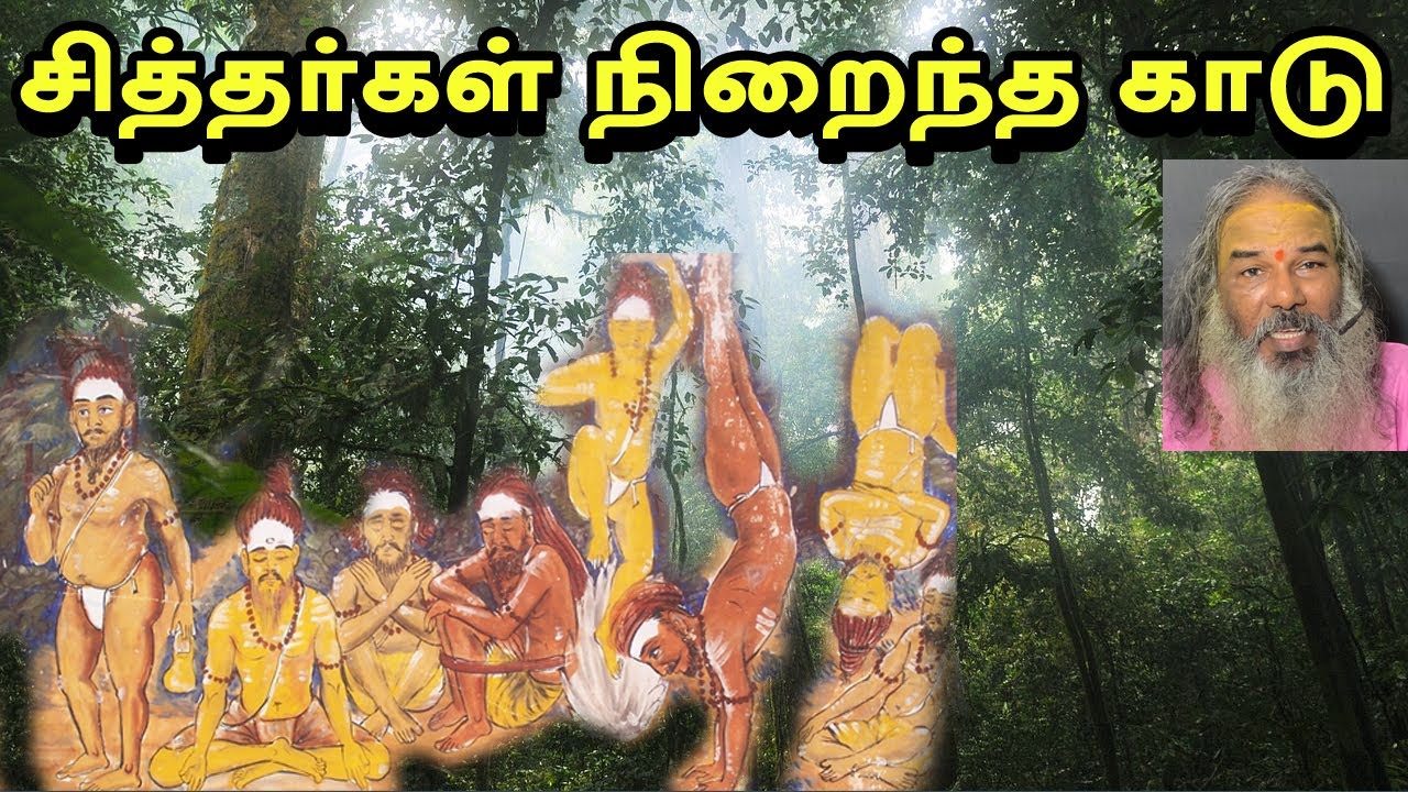 சித்தர்கள் நிறைந்த காடு | yaanan speech | @channelartindia