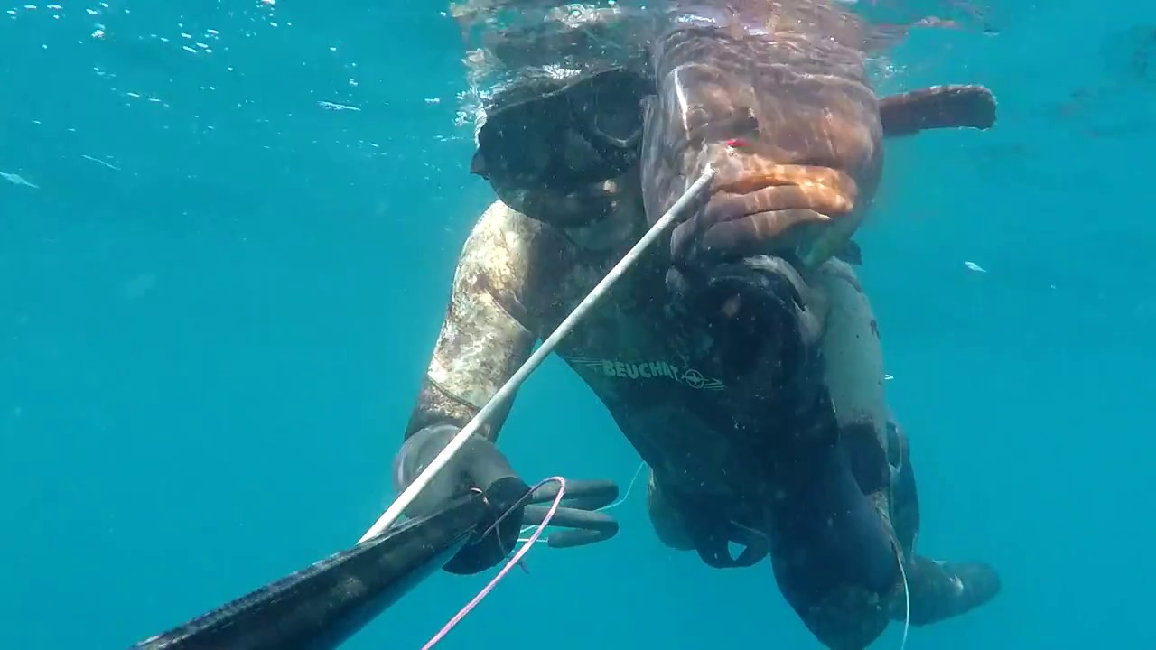 julio 2017 mero 9kg de escollera