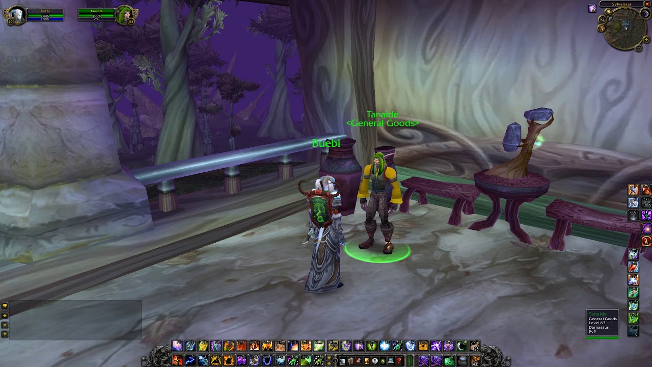 Sylvanaar Bullets / Arrows Vendor (Hunter Ammo), WoW TBC