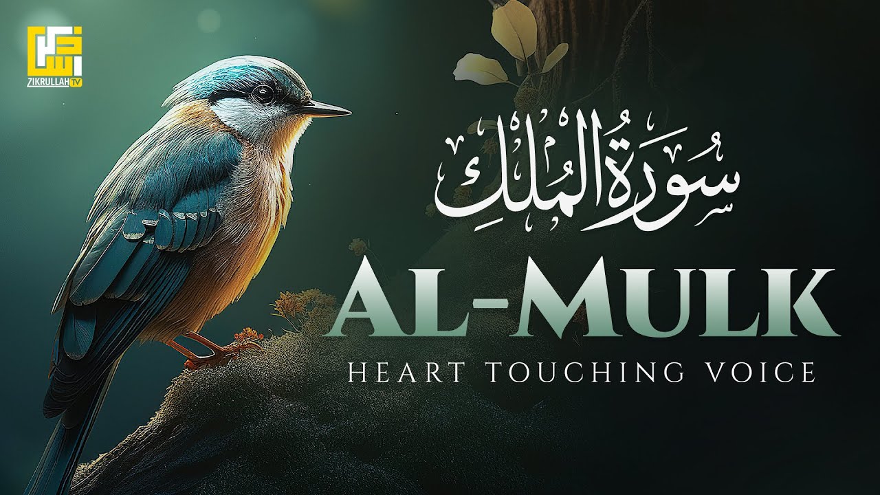 Beautiful Quran Recitation Voice | Surah Al-Mulk سورة الملك (the kingdom) | Zikrullah TV