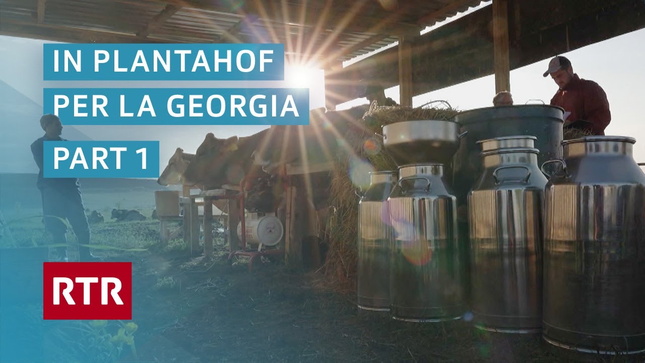 In Plantahof per la Georgia – 1. Teil | Ein Plantahof für Georgien | Cuntrasts | Dok | RTR Films