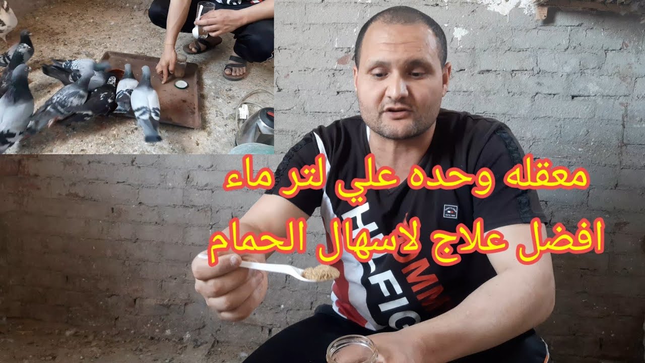 مفعول السحر مش هتصدق علاج #اسهال الحمام من اول مره #علاج الحمام الكاشش وبيكلش #الحمام ضعيف وزنه خفيف