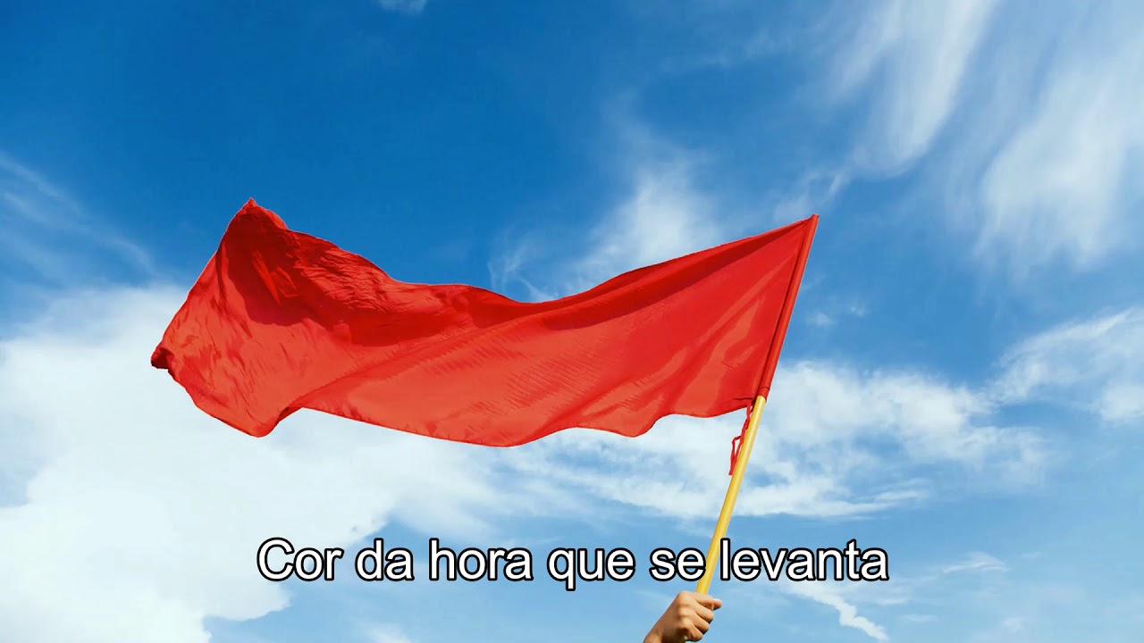 A Bandeira do Meu Partido