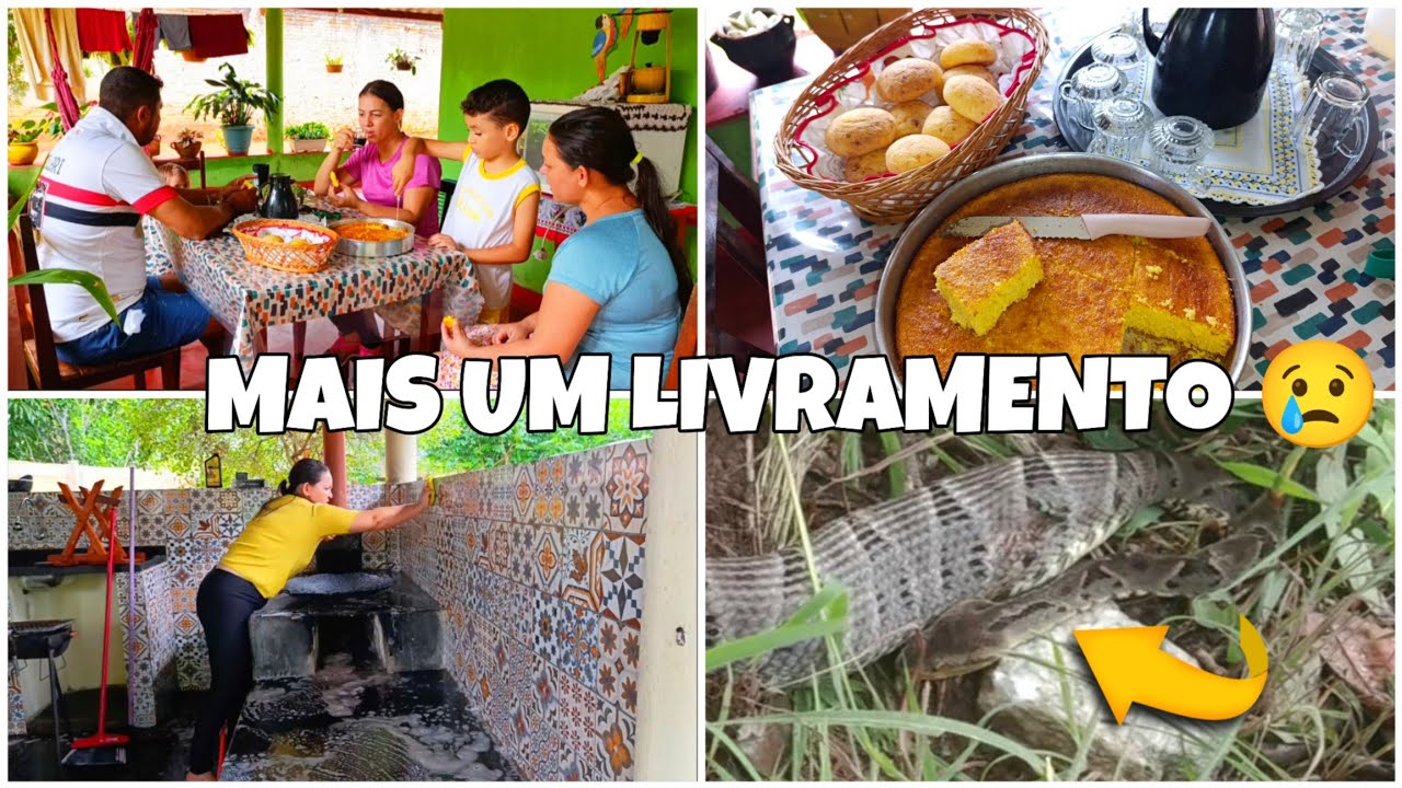 COBRA 🐍 JARACUÇU NOVAMENTE 🙌 ELES VIERAM NOS VISITAR...