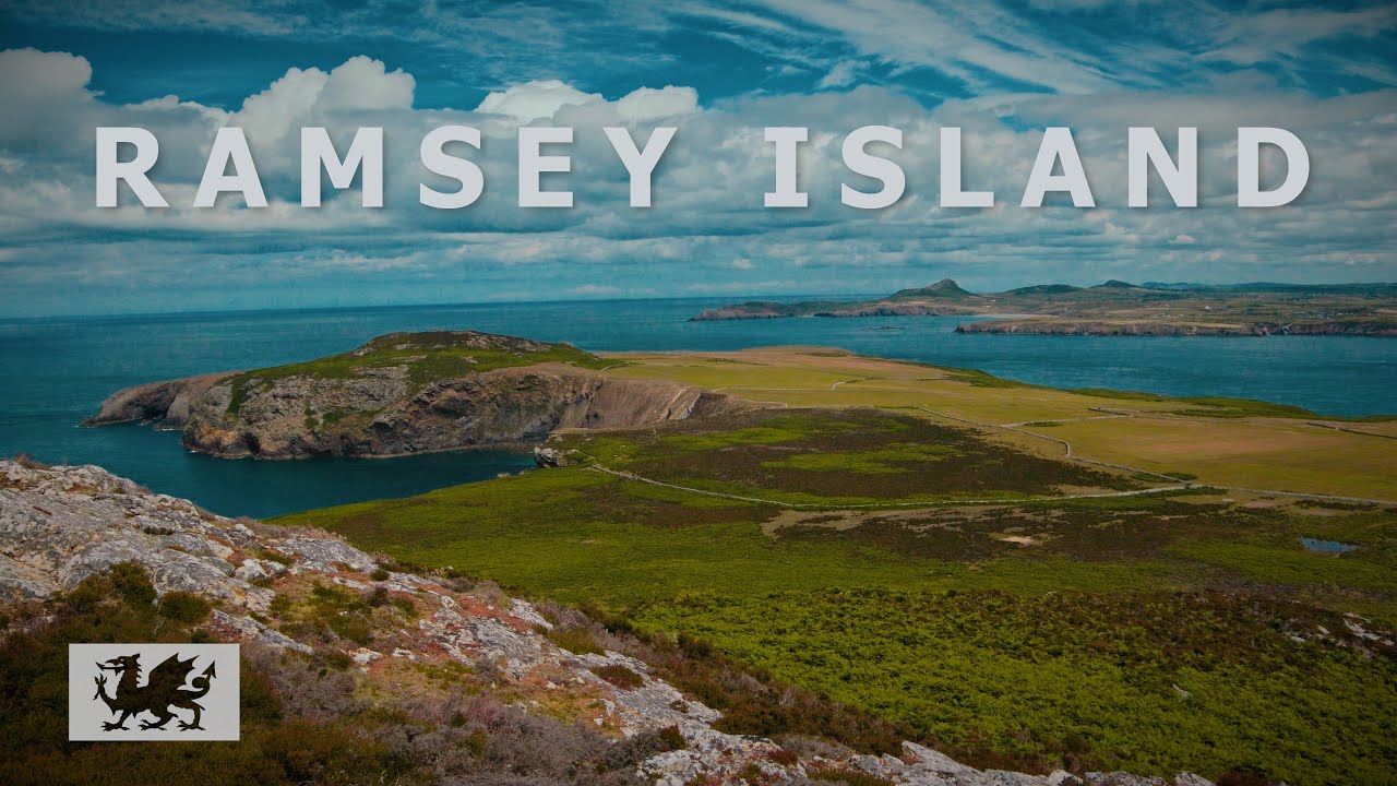 Ramsey Island - A Welsh Wonder