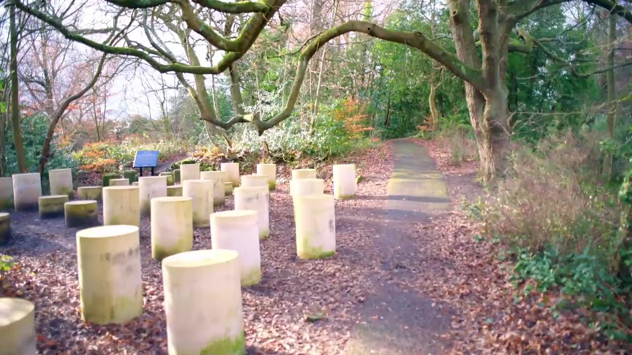This walk was instant relief- Liverpool's Princes Park #ukwildlife #asmrnature #stressreliefasmr