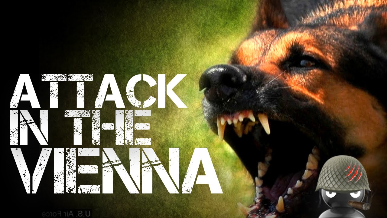 Attack in the Vienna - 3 Quick Games