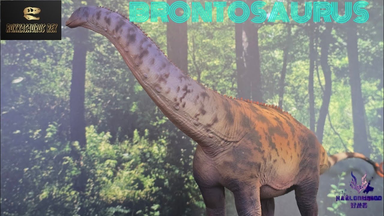 Haolonggood Brontosaurus 1:35 Scale Model Review