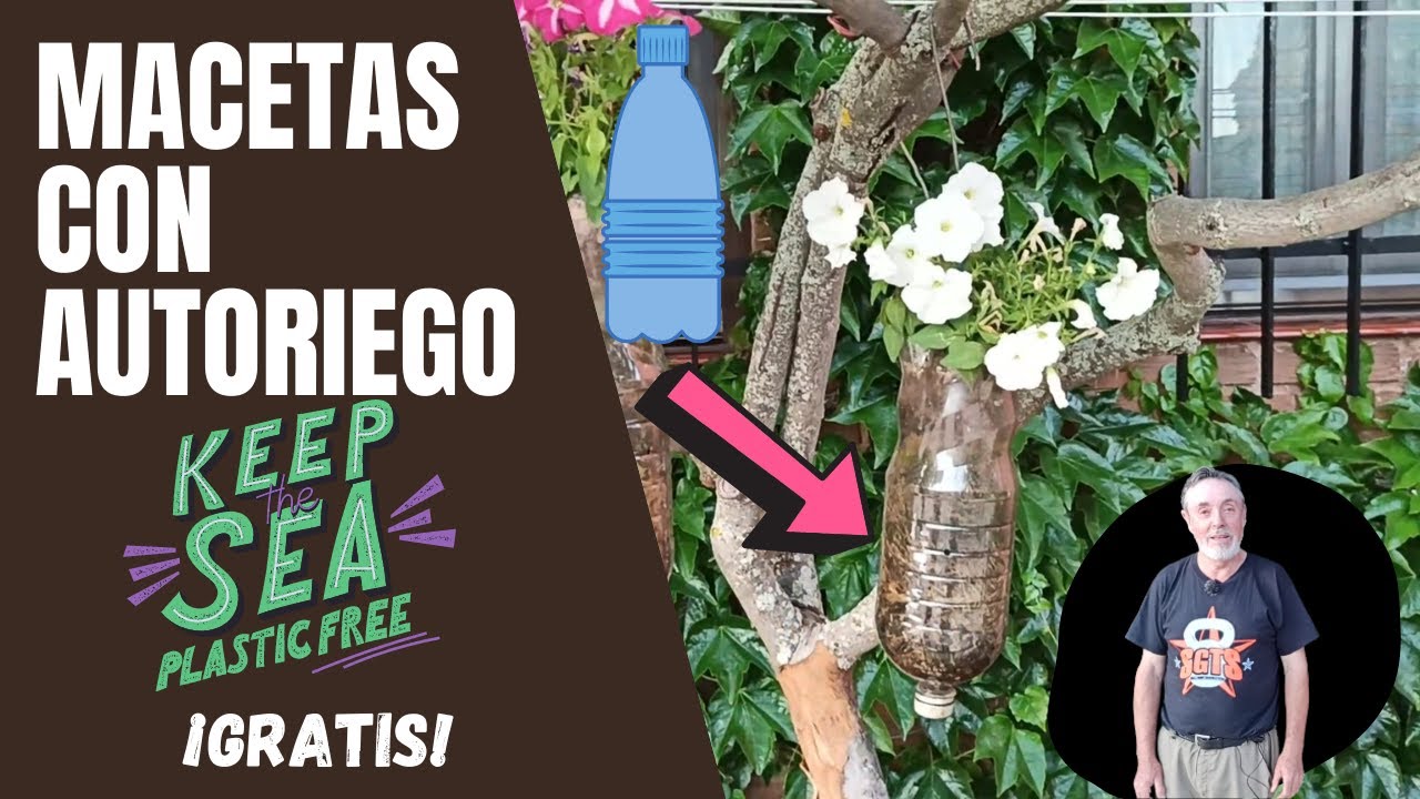 Cómo hacer macetas con auto riego para no tener que regar reutilizando botellas